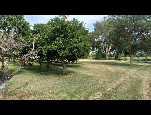 249.90HA FARM FOR SALE IN WATERVAL S H